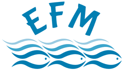 logo efm 2021